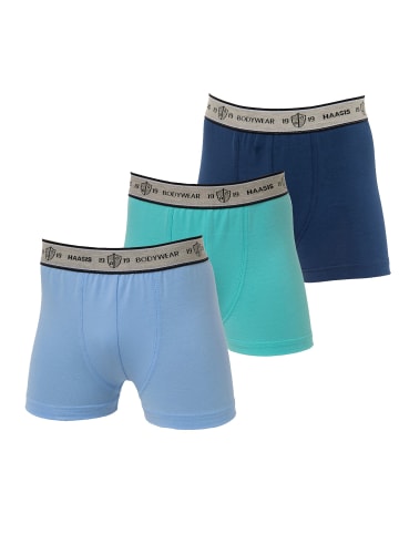 Haasis Bodywear 3er-Set: Pants in mehrfarbig