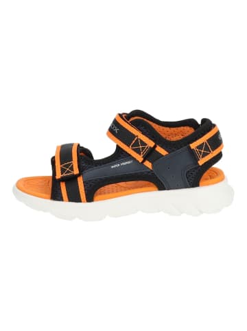 Geox Sandalen in Navy/Orange