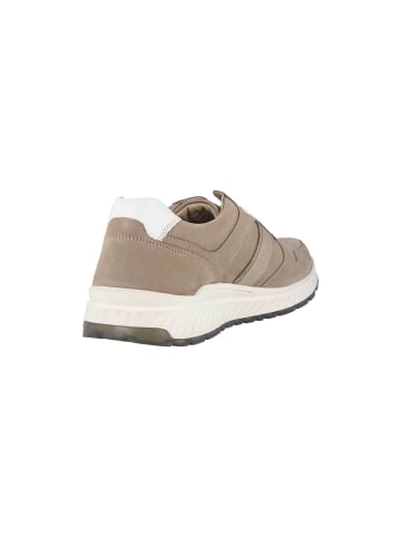 Camel Active Sneaker in Beige