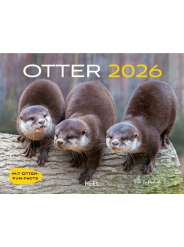 Heel Verlag Kalender - Otter Kalender 2026 Wandkalender Eintragkalender