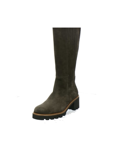 Paul Green Klassische Stiefel in Braun