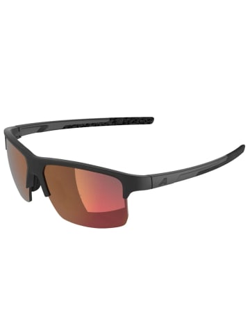 Alpina Sonnenbrille Eagle Q-Lite in schwarz