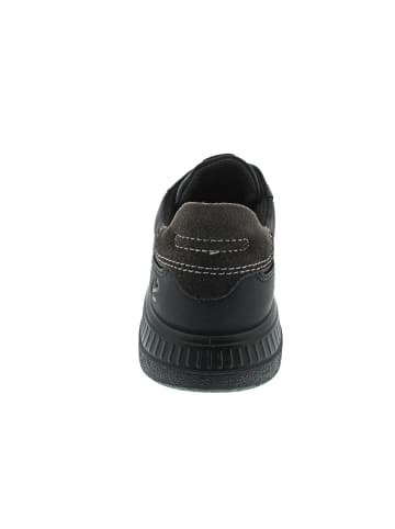 Ecco Sneaker low Schwarz