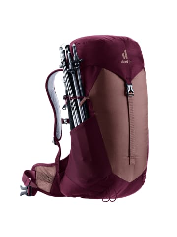 Deuter Rucksack AC Lite 22 SL in Beere