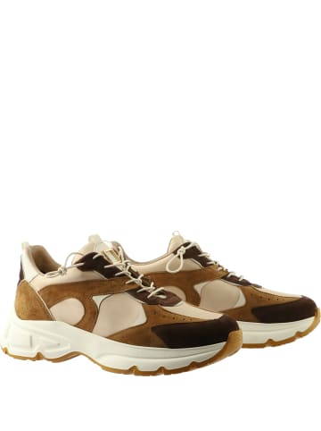 Högl Sneaker in braun
