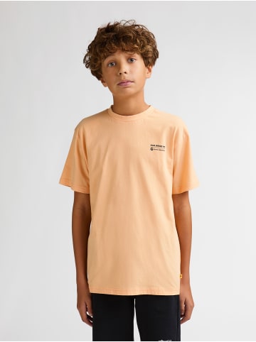Petrol Industries Bedrucktes T?Shirt Bala in Orange