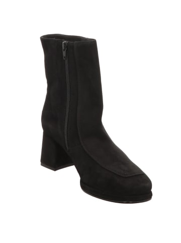 Gabor Ankleboots in schwarz (Micro)