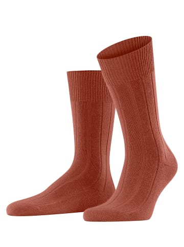 Falke Socken Lhasa Rib in Terra