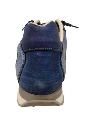Cetti Sneaker  in Blau