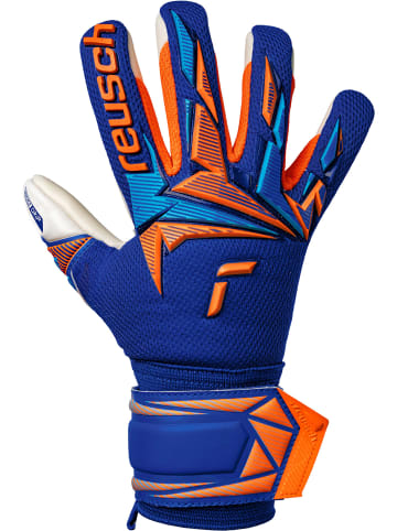 Reusch Torwarthandschuhe Attrakt Freegel Advance Junior in 4129 sharp blu/shock orang