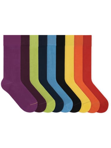 von Jungfeld Classic Socken-Set Signature Innenbund in Zeitlos