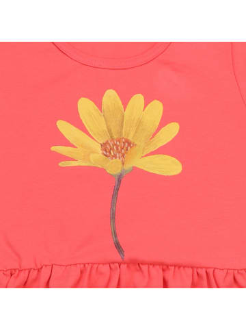 Walkiddy Kleid Hummingbirds Around Flowers-Dress