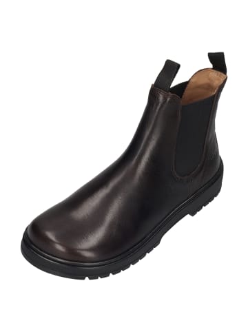 KOEL Chelsea Boots GAVIEN LEATHER in braun