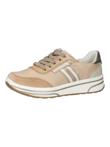 ara Sneaker in Nude