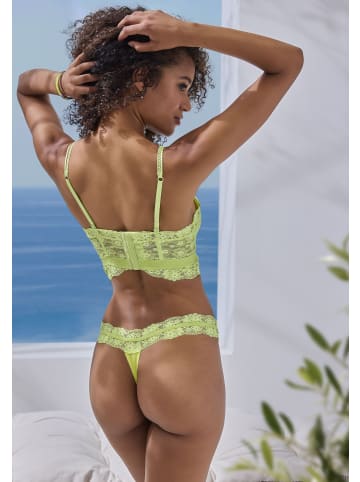 Vivance by Lascana String in lime