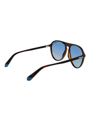 Polaroid Herren Sonnenbrillen Aviator Braun