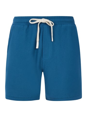 Protest " PRTGraig in Raku Blue