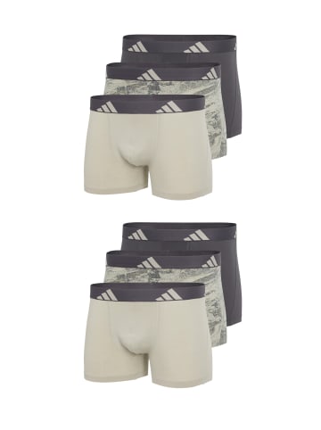 adidas Trunk Active Flex Cotton in taupe, city escape print, grau