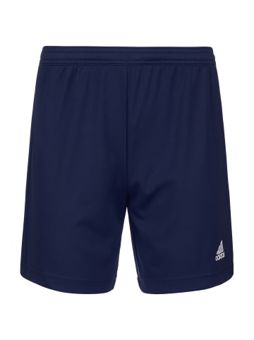 adidas Performance Trainingsshorts Entrada 22 in blau / weiß