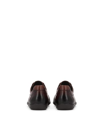 Kazar Schnürschuhe in Braun