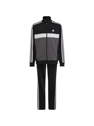 adidas Performance Trainingsanzug in black-grey five-grey one-white