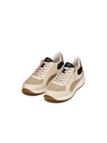 Geox Sportschuhe D in Papyrus/Schwarz