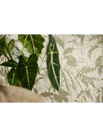 A.S. Création Tapete Jungle Harmony in Nebelgrün