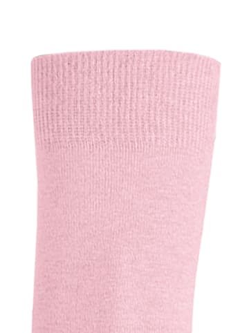 Kunert Socken Liz druckfrei in soft rose