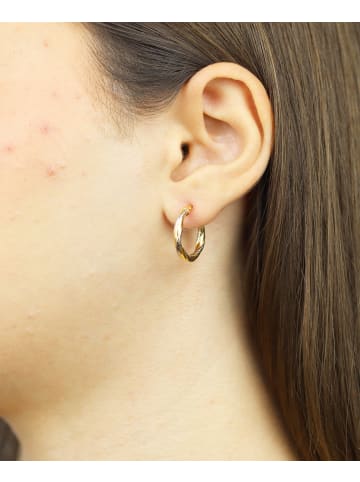 Vanlere Creolen aus 375 Gelbgold