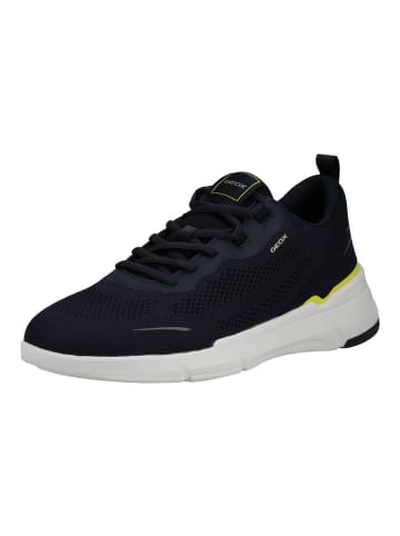 Geox Sneaker Navy