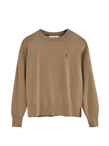 Polo Club Pullover in Braun