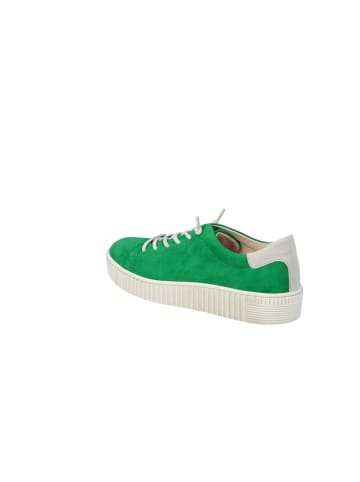 Gabor Lowtop-Sneaker in verde/neve/beige