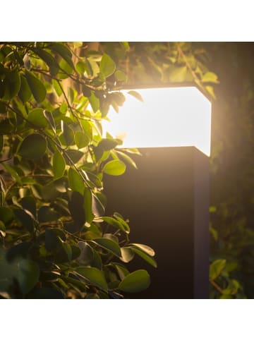 näve LED Außensockelleuchte "VIGO" in anthrazit - EEK G