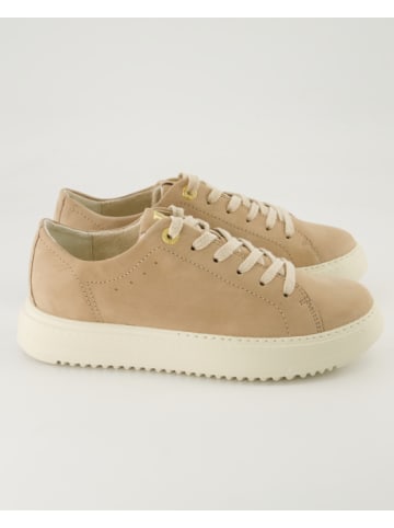 Paul Green Sneaker low in Beige