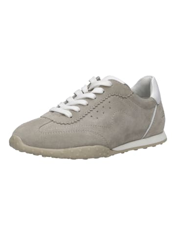 Josef Seibel Sneaker Aileen 01 in beige