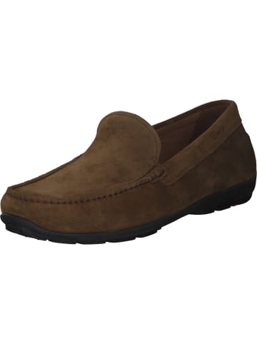 LLOYD Sportliche Slipper in 5 - TOBACCO