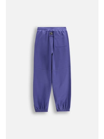 Coccodrillo Jogginghose in blau
