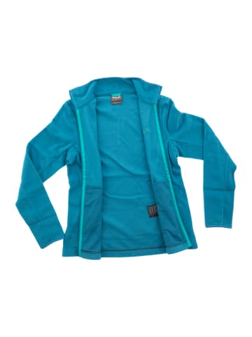 Jack Wolfskin Fleecejacke Gecko Recycled in Blau