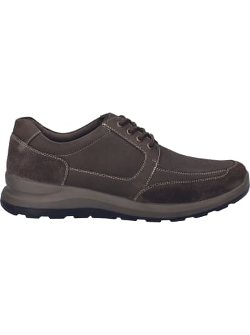 Josef Seibel Sneaker Marley 51 in braun