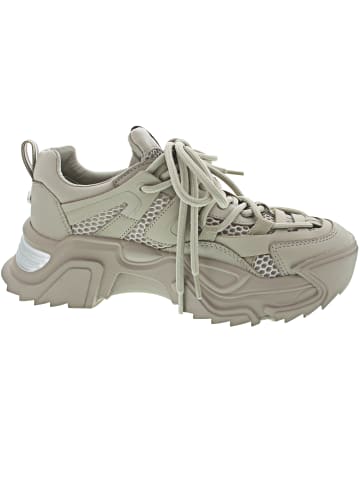Steve Madden Kingdom Sneaker low Beige