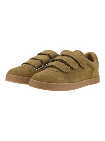 Steve Madden Sneaker DAYBREAK in Khaki