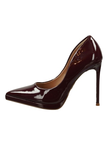 Steve Madden Pumps in Bordeaux