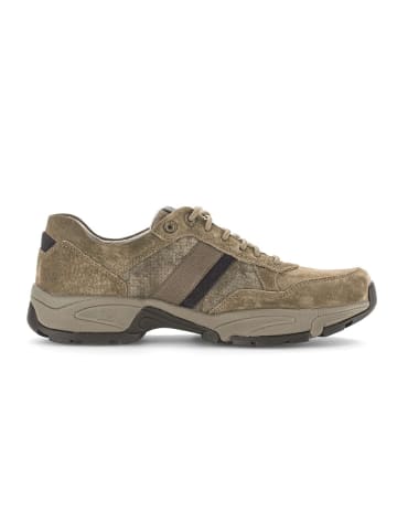 Pius Gabor Sneaker low in beige