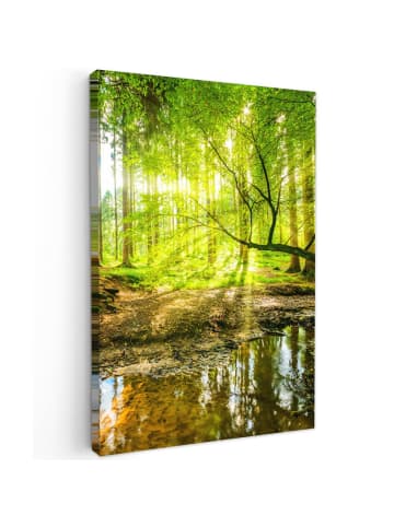 MuchoWow Leinwand bilder Waldlicht (BxH)