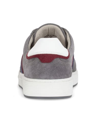 Gabor Sportliche Schnürschuhe in Grau