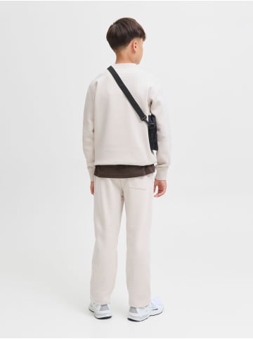 JACK & JONES Junior Sweatshirt in Moonbeam