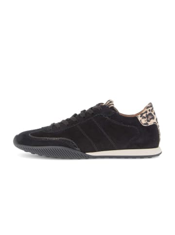 Gabor Sneaker low in schwarz