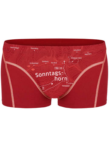 EIN SCHÖNER FLECK ERDE M SONNTAGSHORN BOXER in Rot