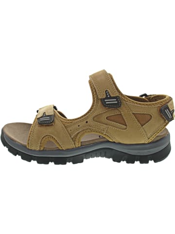 WESTLAND Auxerre 01 Sandale Braun