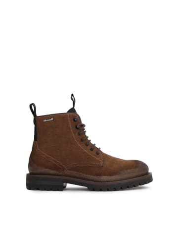 Kazar Chelsea Boots HARGY in Braun